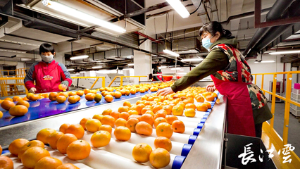 辐射华中6亿人口!华中国际食品产业新城是什么业态?