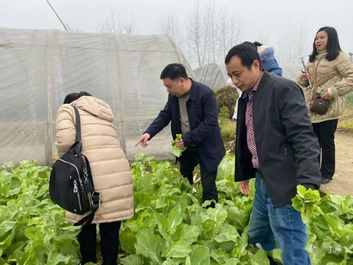 省州联动在湘西州开展第一季度农产品质量例行监测