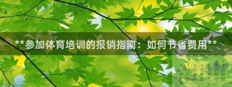 耀世娱乐安全吗可靠吗：**参加体育培训的报销指南：如何节省费